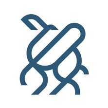 شركة خطوة جمل للتجارة شركة خطوة جمل للتجارة